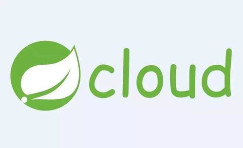 Spring Cloud在國內(nèi)中小型互聯(lián)網(wǎng)銷售公司的應(yīng)用可行性分析